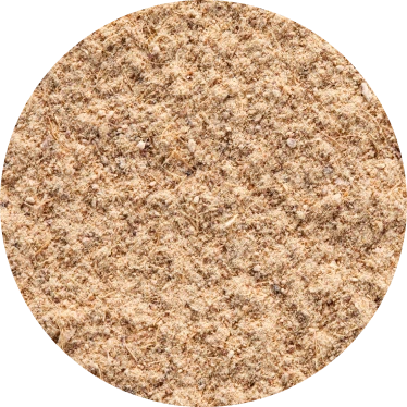 Close-up of a pile of sawdust with a coarse texture.